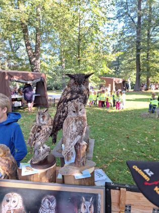 Fotografie img-20230920-wa0014_original.jpg