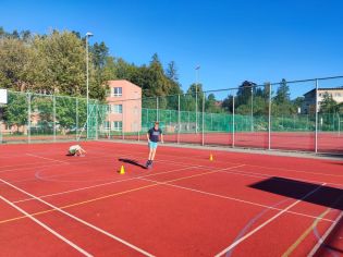 Fotografie img-20230920-wa0042_original.jpg