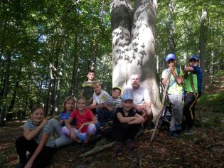 Fotografie p9290007_original.jpg