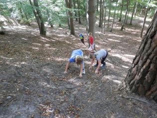 Fotografie p9290009_original.jpg