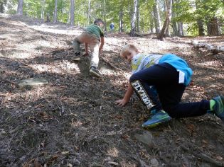 Fotografie p9290010_original.jpg