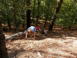 Fotografie p9290011_original.jpg