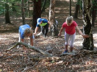 Fotografie p9290014_original.jpg