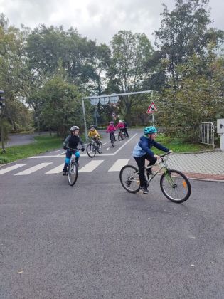 Fotografie img-20231020-wa0003_original.jpg