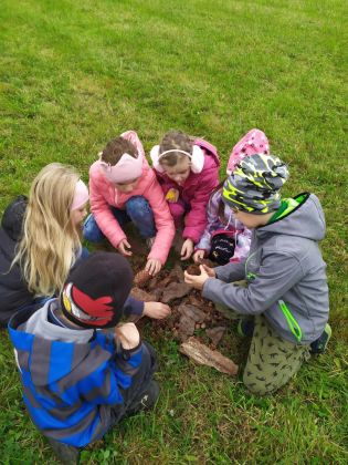 Fotografie received_700990591945734_original.jpeg