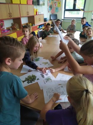 Fotografie received_704695398206607_original.jpeg