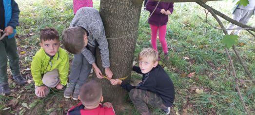 Fotografie img-20231021-wa0000_original.jpg