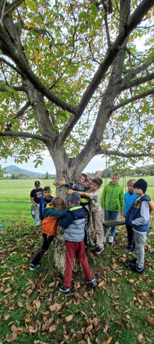 Fotografie img-20231021-wa0006_original.jpg