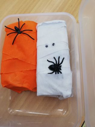 Fotografie img-20231024-wa0003_original.jpg