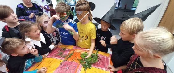 Fotografie img-20231031-wa0008_original.jpg