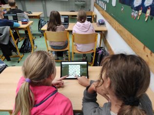 Fotografie img_20231115_112101_original.jpg