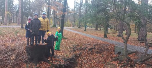 Fotografie img-20231130-wa0022_original.jpg