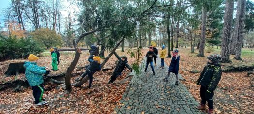 Fotografie img-20231130-wa0027_original.jpg