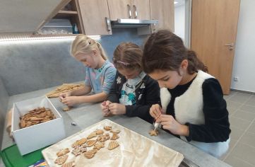 Fotografie img-20231130-wa0011_original.jpg