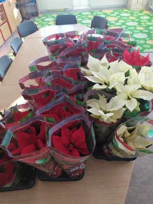 Fotografie messenger_creation_030250fd-86c9-44f1-a2_original.jpeg