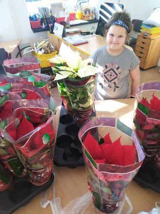 Fotografie messenger_creation_c7bd8408-9864-4460-93_original.jpeg