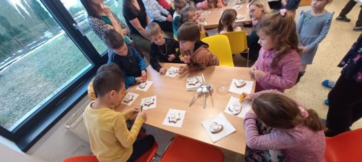 Fotografie img-20231212-wa0011_original.jpg