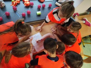 Fotografie img_20231214_114235_original.jpg