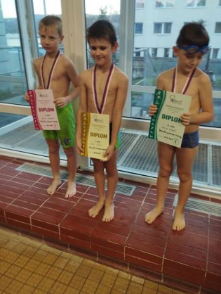 Fotografie 03-1702976868_original.jpg