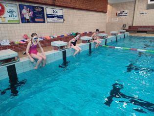 Fotografie img_20240126_083652_1_original.jpg