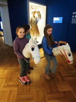 Fotografie img-20240130-wa0020_1_original.jpg