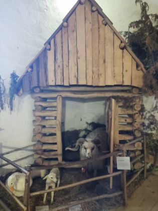 Fotografie img-20240131-wa0014_original.jpg