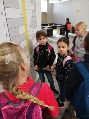 Fotografie img-20240130-wa0005_original.jpg