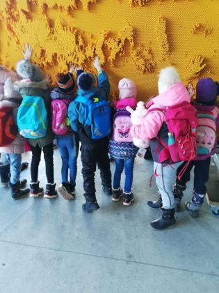 Fotografie img-20240130-wa0012_original.jpg