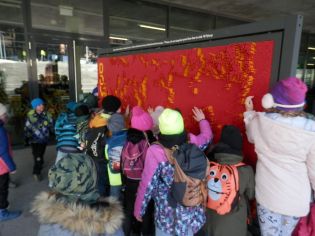 Fotografie p1300152_original.jpg