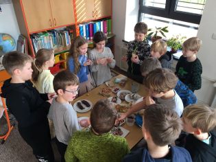 Fotografie img-20240131-wa0003_original.jpg