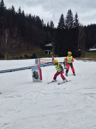 Fotografie img-20240206-wa0003_original.jpg