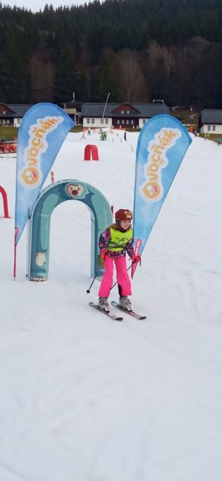 Fotografie img-20240209-wa0018_original.jpg