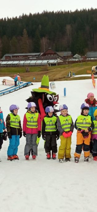 Fotografie img-20240209-wa0028_original.jpg