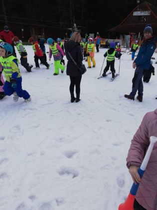 Fotografie img-20240210-wa0005_original.jpg