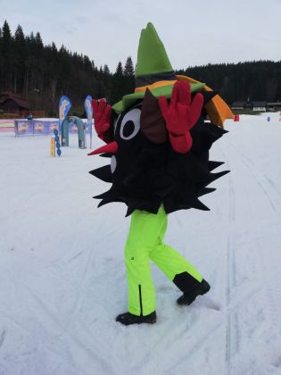 Fotografie img-20240210-wa0019_original.jpg