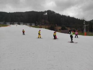 Fotografie img_20240205_140814_original.jpg