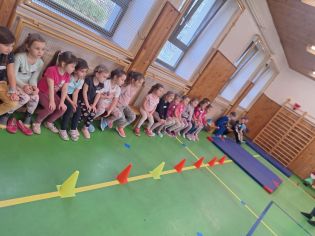 Fotografie img-20240302-wa0013_original.jpg