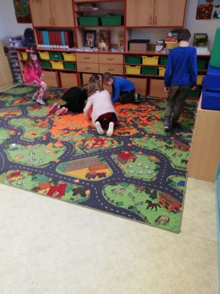 Fotografie img-20240307-wa0013_original.jpg