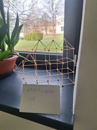 Fotografie img-20240308-wa0007_original.jpg