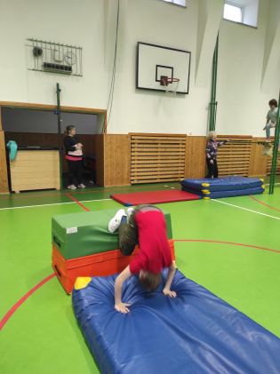 Fotografie img_20240313_084713_original.jpg