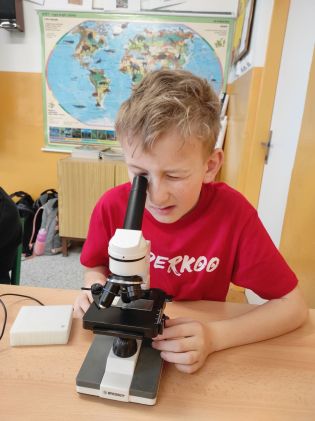 Fotografie img_20240313_095556_original.jpg