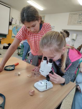 Fotografie img_20240313_100307_original.jpg