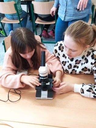 Fotografie messenger_creation_6fbc69a0-14ba-4c39-be_original.jpeg