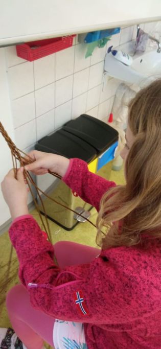 Fotografie img-20240319-wa0005_original.jpg