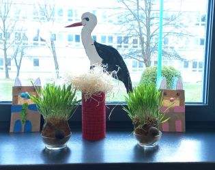 Fotografie img-20240327-wa0019_original.jpg