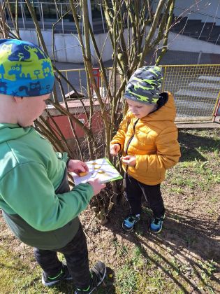 Fotografie img-20240327-wa0032_original.jpg