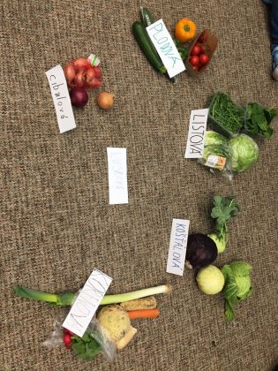 Fotografie img-20240327-wa0018_original.jpg