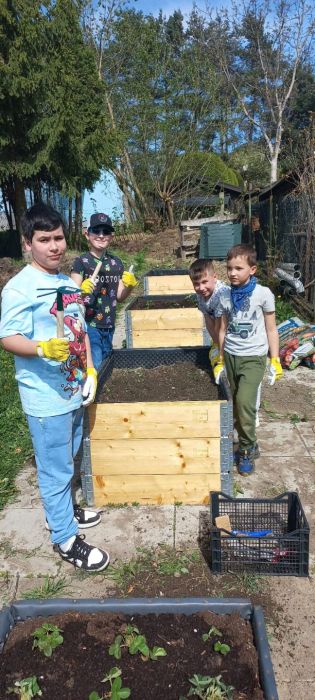 Fotografie img-20240410-wa0004_original.jpg