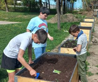 Fotografie img-20240410-wa0006_original.jpg