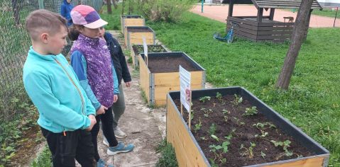 Fotografie img-20240410-wa0007_original.jpg